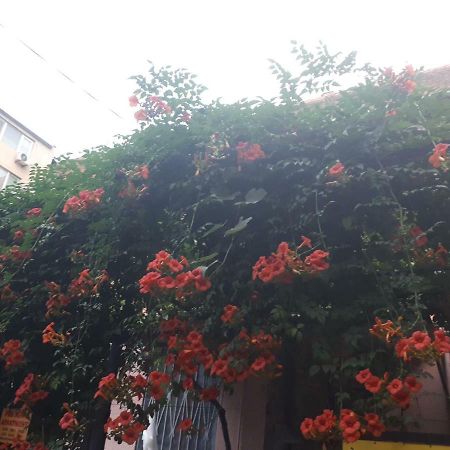 agmashenebeli95 Aparthotel Tbilisi Bagian luar foto