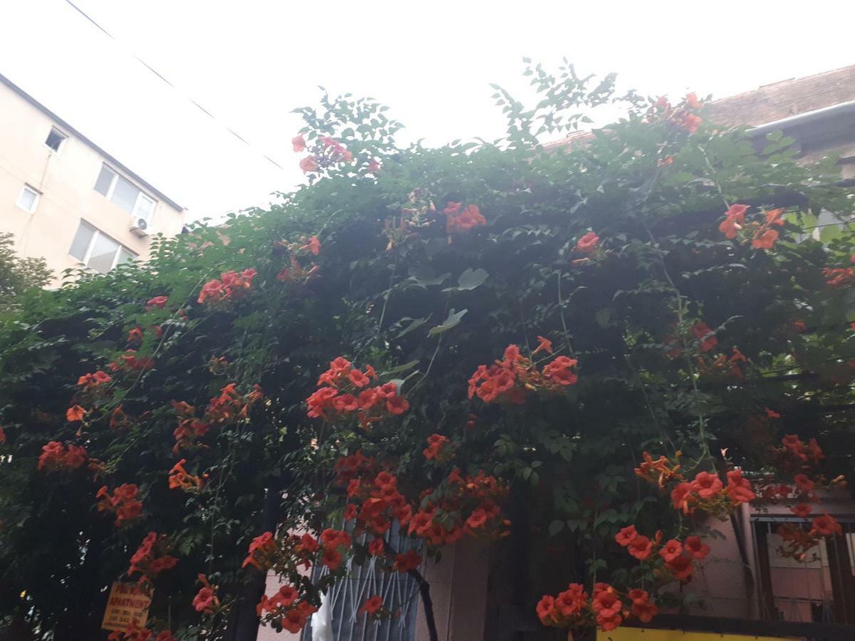 agmashenebeli95 Aparthotel Tbilisi Bagian luar foto